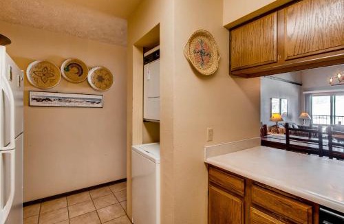 Mount Crested Butte Apartment | Unique, Mountain 4 Br Condo Condo