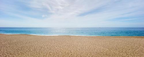 Marina House | Unit 224-Honeymoon Dream-BEACHFRONT at Terrasol