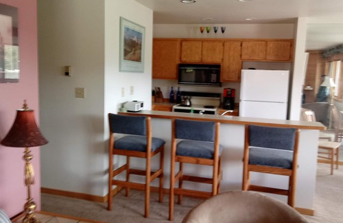 Wildernest Condo | Vacation with vistas that feel like a backyard!