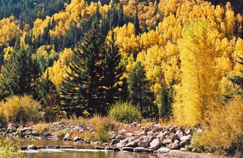 Vail Resort | Vail Racquet Club Mountain Resort