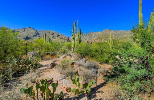 Tucson House | Ventana Canyon Retreat