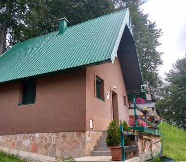 Zabljak Villa | Vila Darija