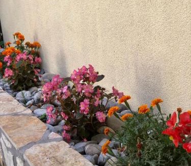 Danilovgrad Bed & Breakfast | Vila Razic