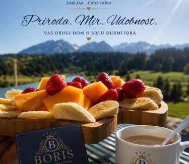 Zabljak Villa | Villa Boris
