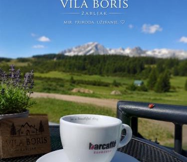 Zabljak Villa | Villa Boris