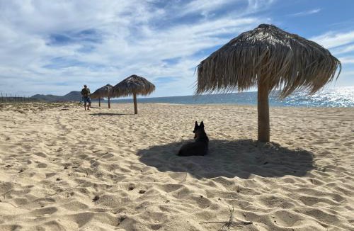 Todos Santos House | Villa Gardenia - Oceanfront Casa Mango w Pool