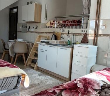 Plav Apartment | Visitor view apartment