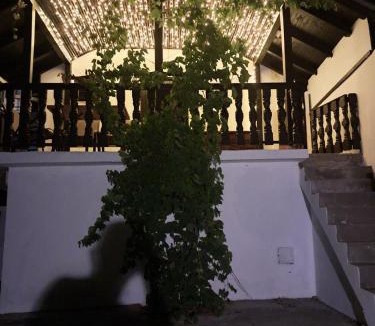 Utjeha Hladna Uvala House | Vrabac&Vranac