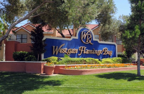 Las Vegas Condo | Westgate Flamingo Bay Resort 1 BR Suite, SATURDAY Check-In