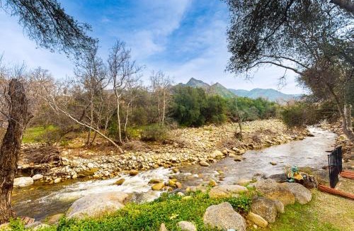 Three Rivers House | Yard & Patio: Quiet & Well-Stocked Riverside Home