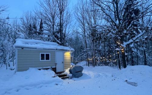 L'Anse House | Yooperlite House