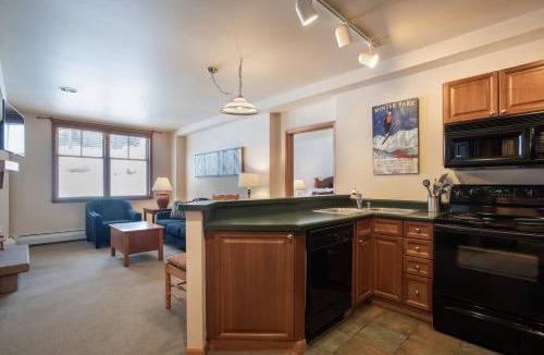 Winter Park Apartment | Zephyr Mountain Lodge Condo with views of Arapahoe National Forest condo