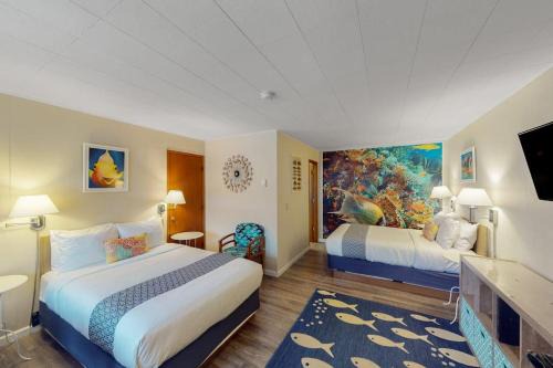 4 Studios walkable to downtown Dog Friendly WiFi
