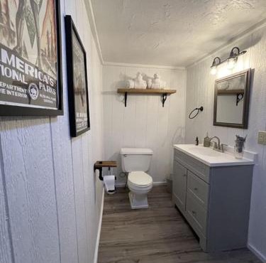 Adventure Cabin 3 King Bed Hot Tub