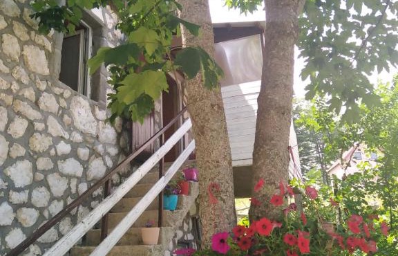 Apartment Dobre Vode