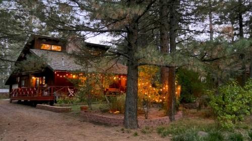 Artist Chalet