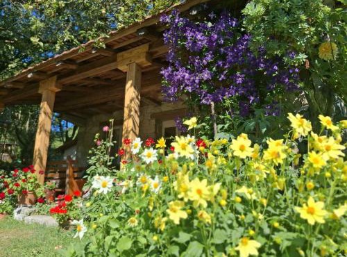 Artistic Garden House