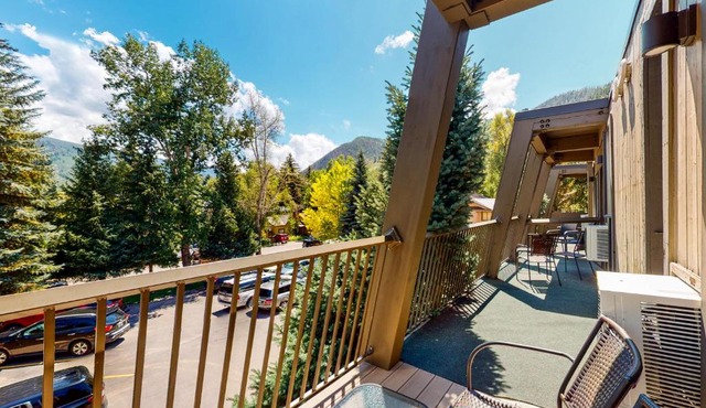 Aspen Mountain Lodge 305