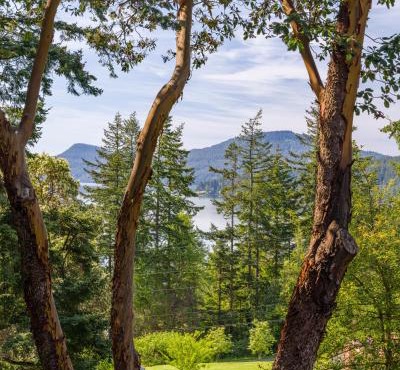 Beautiful WaterViews, Pet-Friendly, Close to Town
