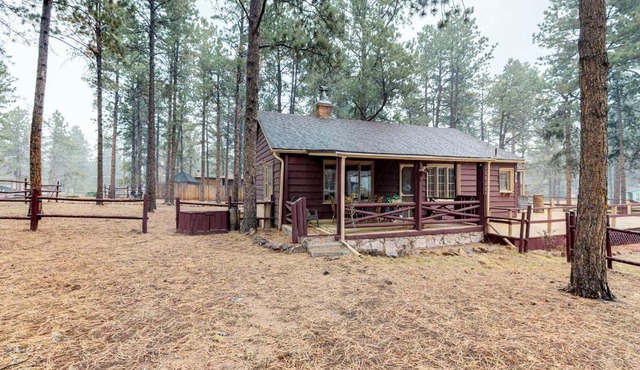 Big Bear Cabin