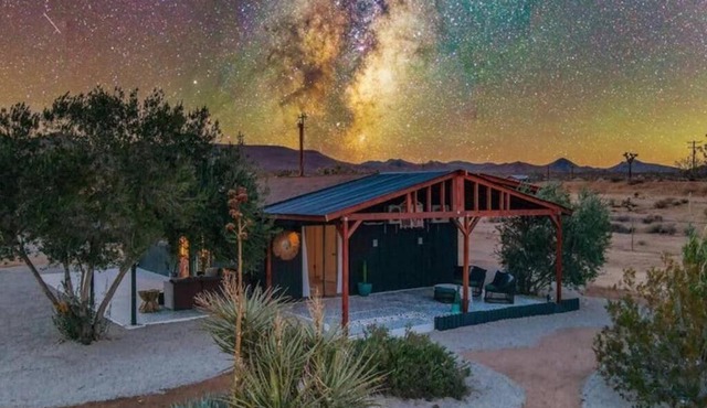 Black Moon Ranch - Flamingo Heights