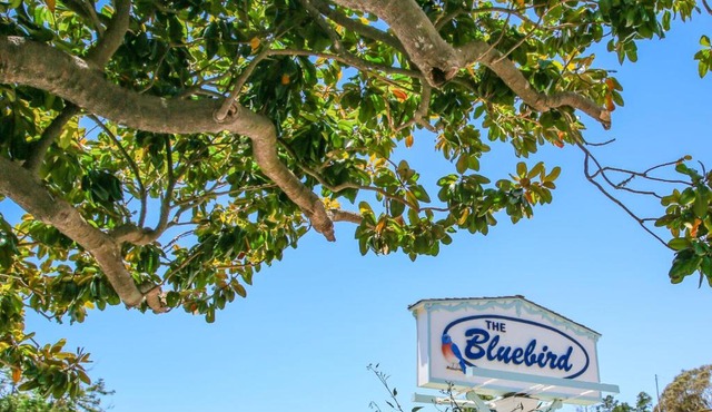 Bluebird Inn