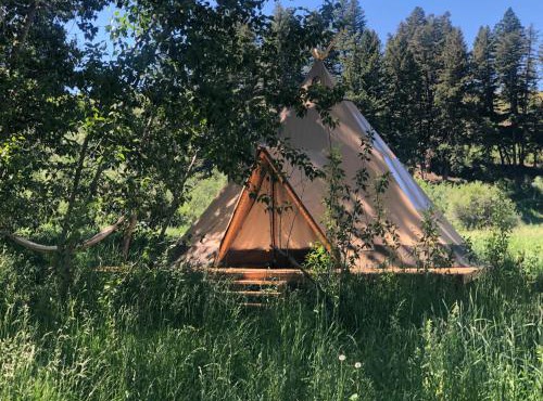 Bodhi Farms