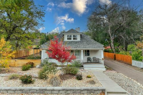 Bristhol Bloom! Oasis in the Heart of COS!