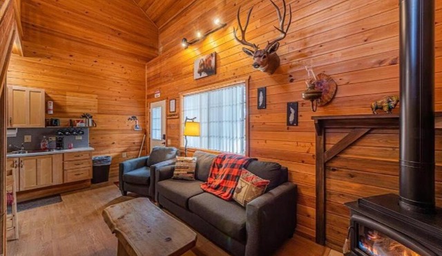 Cabin #1 Buffalo Herd -Pet Friendly - Sleeps 6 - Playground & Game Room