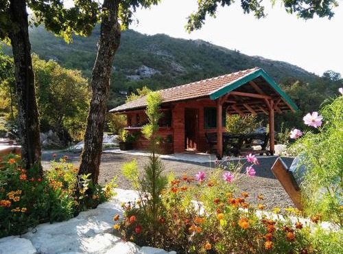 Camp Oaza, Lipa