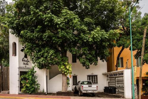 Ceiba Studios
