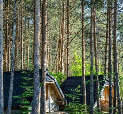 Chalets pod Gorom