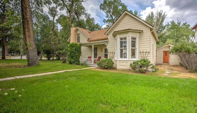 Charming Buena Vista Creekside Home: Walk to Main!