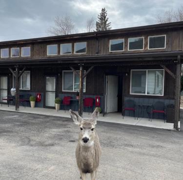 Corral Villas Yellowstone