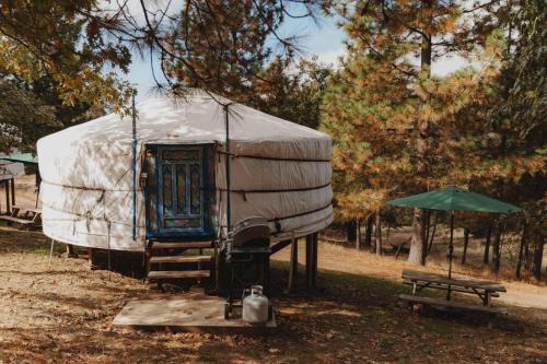Cosy yurt at a nature retreat in Dunlap CA