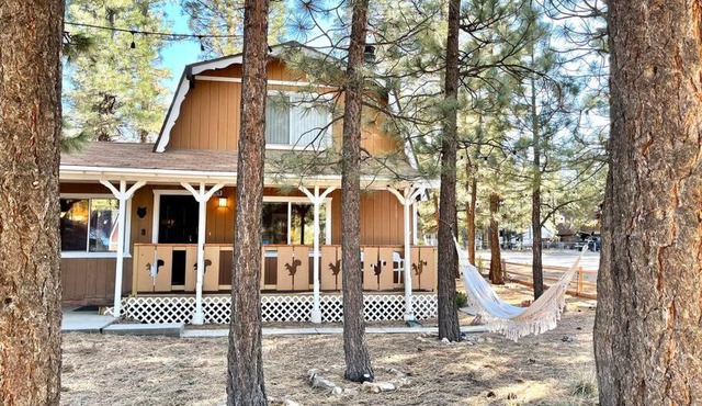 Country Bear Cabin - Kid & Pet Friendly!