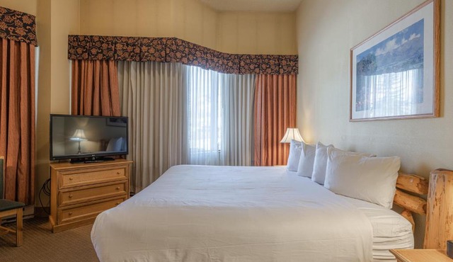Cozy Pet-Friendly King Studio in Mt, Crested Butte condo