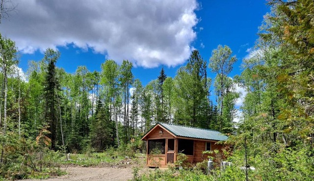 Cozy Tiny Cabin - Off-Grid Experience with Sled Dogs Year 'round in Minnesota