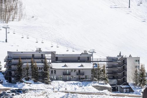 Crested Butte Mountain Resort Properties by Vail Resorts