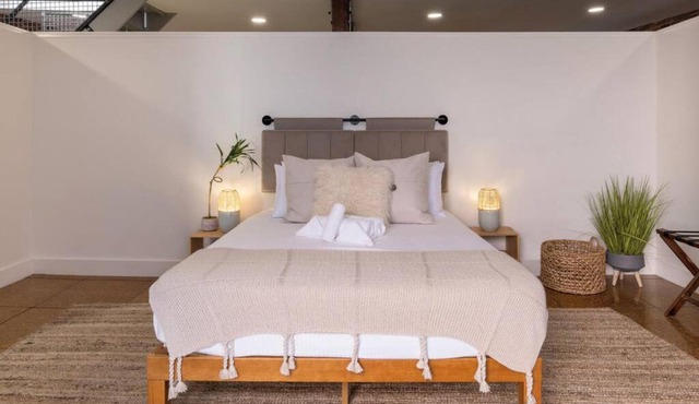 Deluxe 3BR Loft Walkable to Everything Downtown