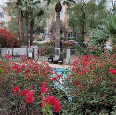 Desert Rose Villas - Private One Bedroom in Old Town Scottsdale