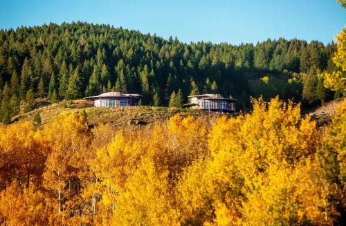 Dual Cabin- Yellowstone Family Retreat- Sled Hill