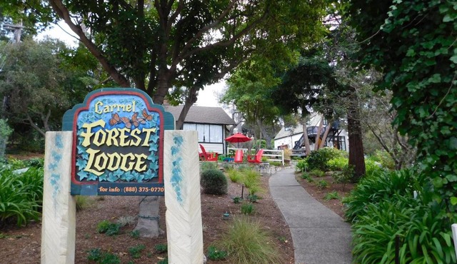 Forest Lodge