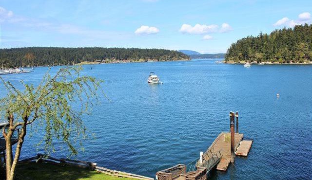 Friday Harbor Lights