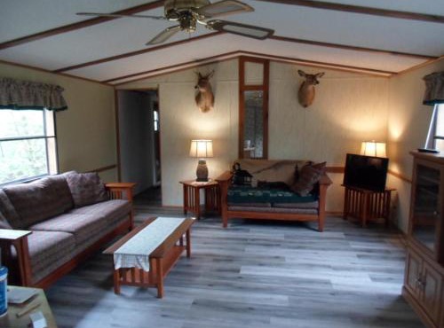 Full Moon Cabin
