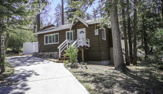 Grizzly Bear by Big Bear Cool Cabins