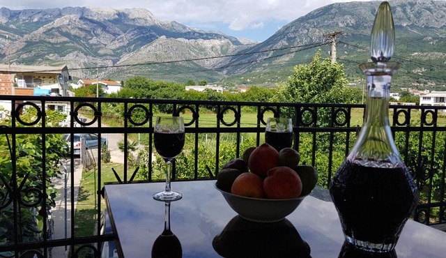 Guesthouse Branko