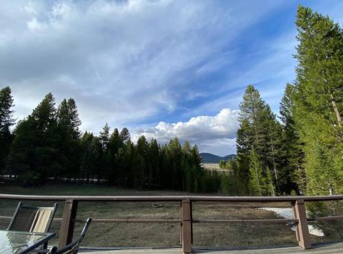 House in the Woods - 20 min to YNP