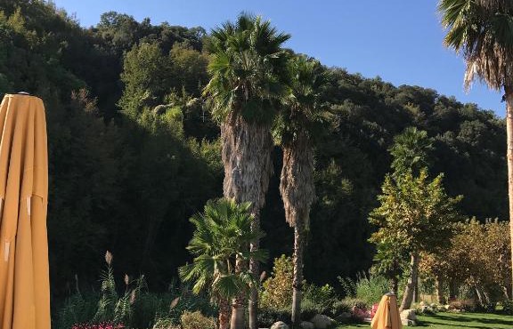 la source in Folelli