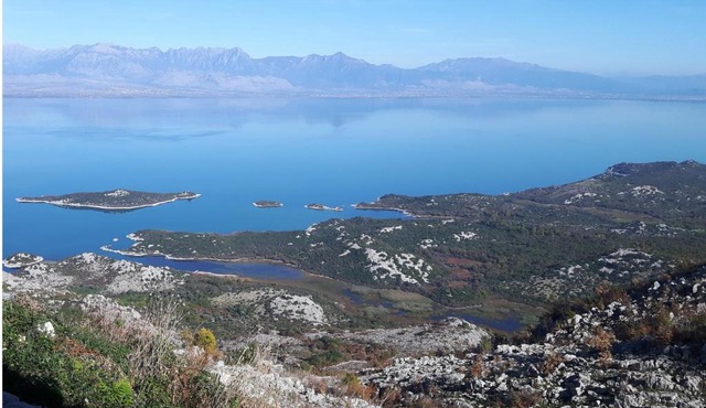 Livari Viewpoint